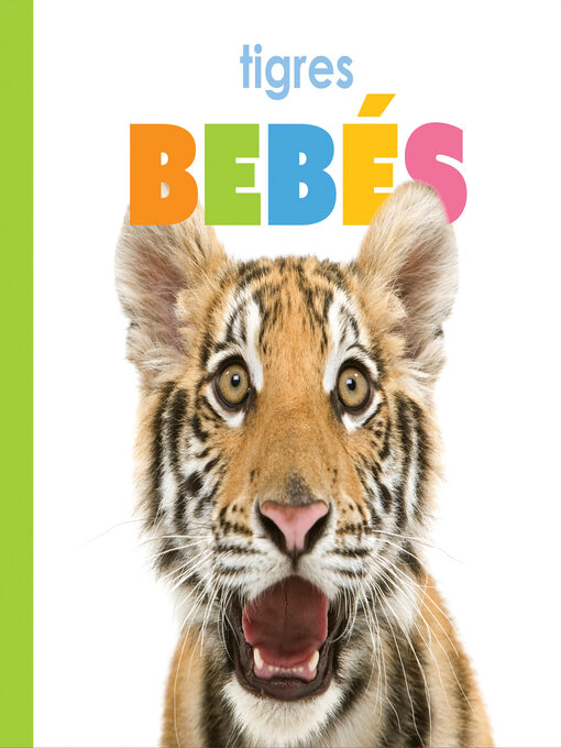 Title details for Tigres bebés by Kate Riggs - Available